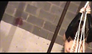 jayla compilation! Featuring Jaylaxxx