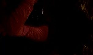 sofianne and viviann, twins and anal addict sluts Featuring Sofianne, Viviann