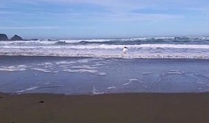 a day at the beach (director’s cut) Featuring Pamela Claire
