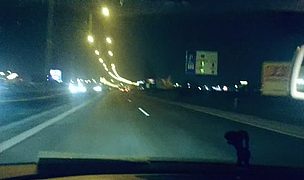czech college blondes super blowjob and ball licking pov style Featuring Sweet Cat, Tomas