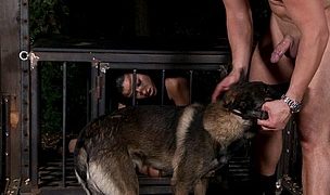 bdsm slut jessyca wilson caged and tied up during ass fucking outdoors fuck gp1093 Featuring Jessyca Wilson, Francky